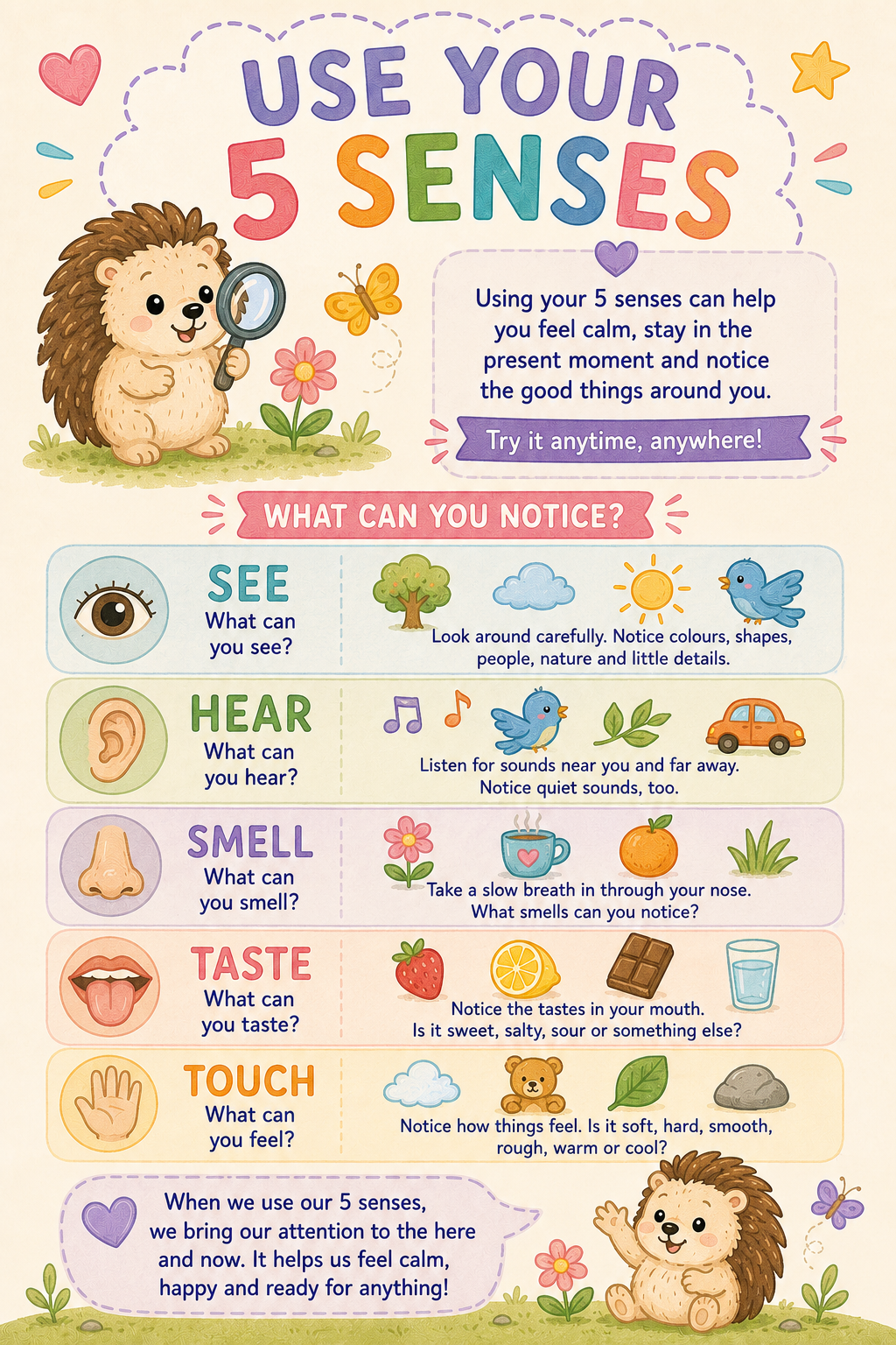 5 Senses
